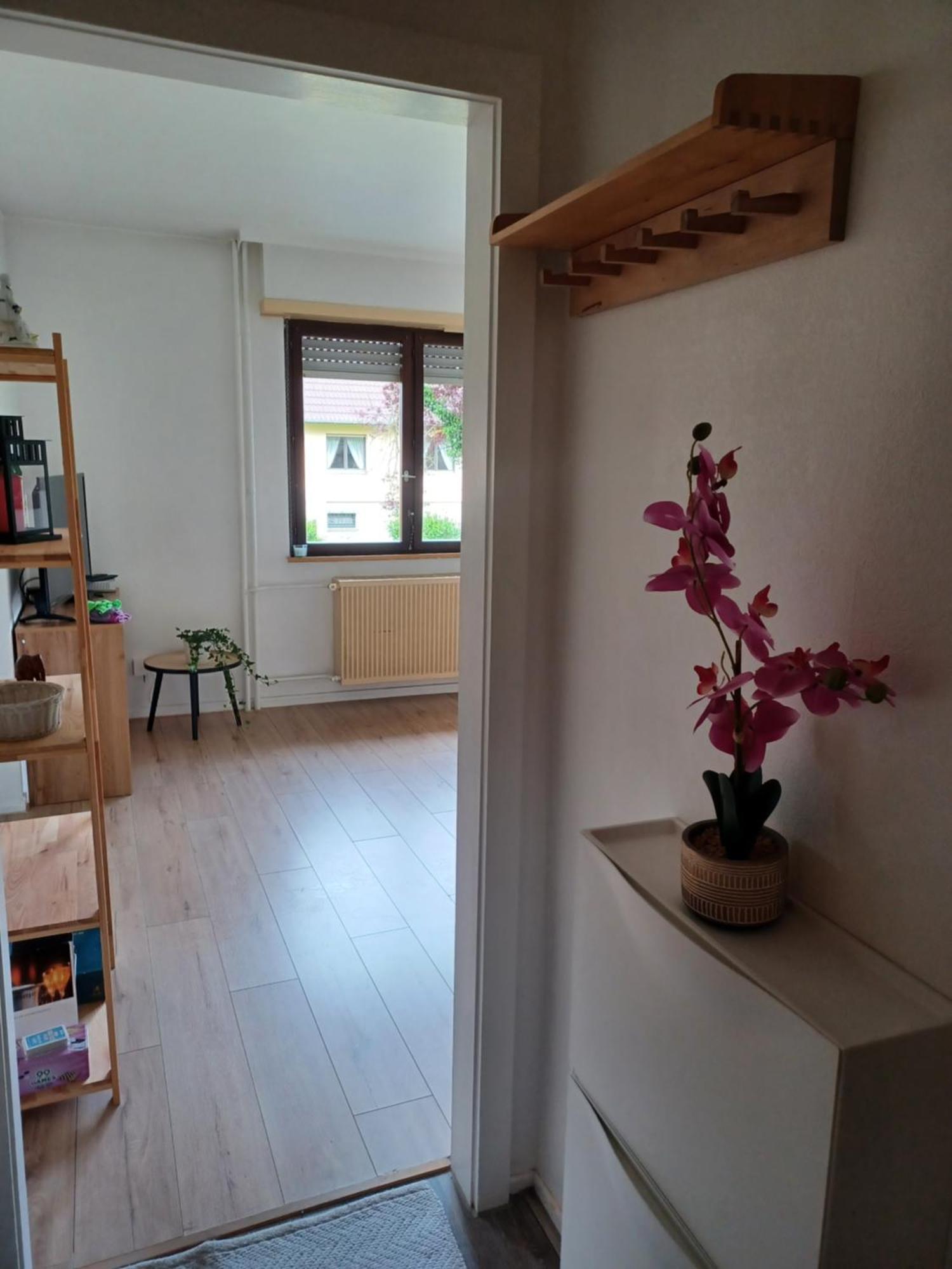 מולהאוס Studio Rdc Calme Avec Parking Ferme Pres Autoroute Et Tram C מראה חיצוני תמונה